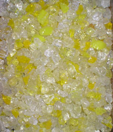 --Daffodil G77F4 Topper.