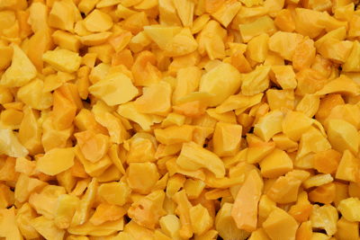 corn yellow r77f4 2