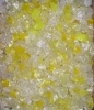 Daffodil G77F4 Topper.